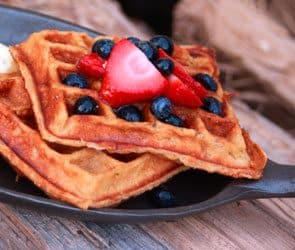 waffles105 Honey Yogurt Pecan Waffles