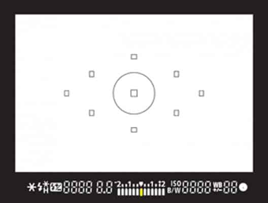 40dviewfinder