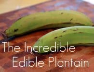 http://thenoshery.com/tag/plantain/