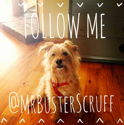 followbuster