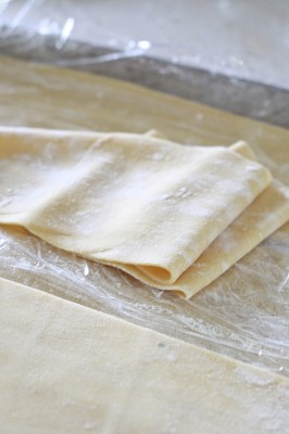 Rustic Lasagna 108