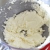 Chewy Chocolate Chip Gingersnaps 1