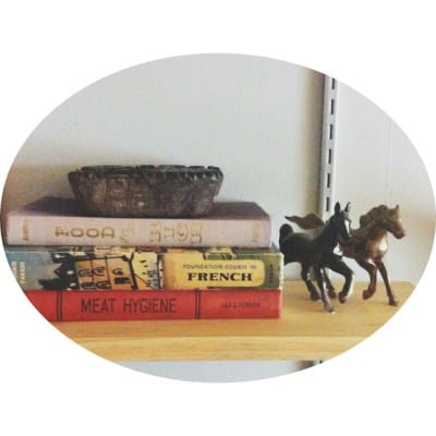 Trending: Rocks, Copper, Horses