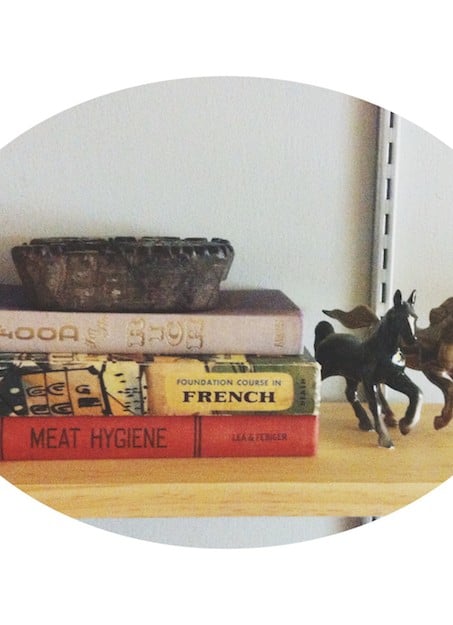 Trending: Rocks, Copper, Horses