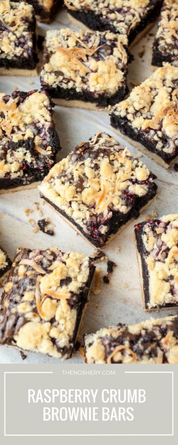 Raspberry Brownie Bars | TheNoshery.com
