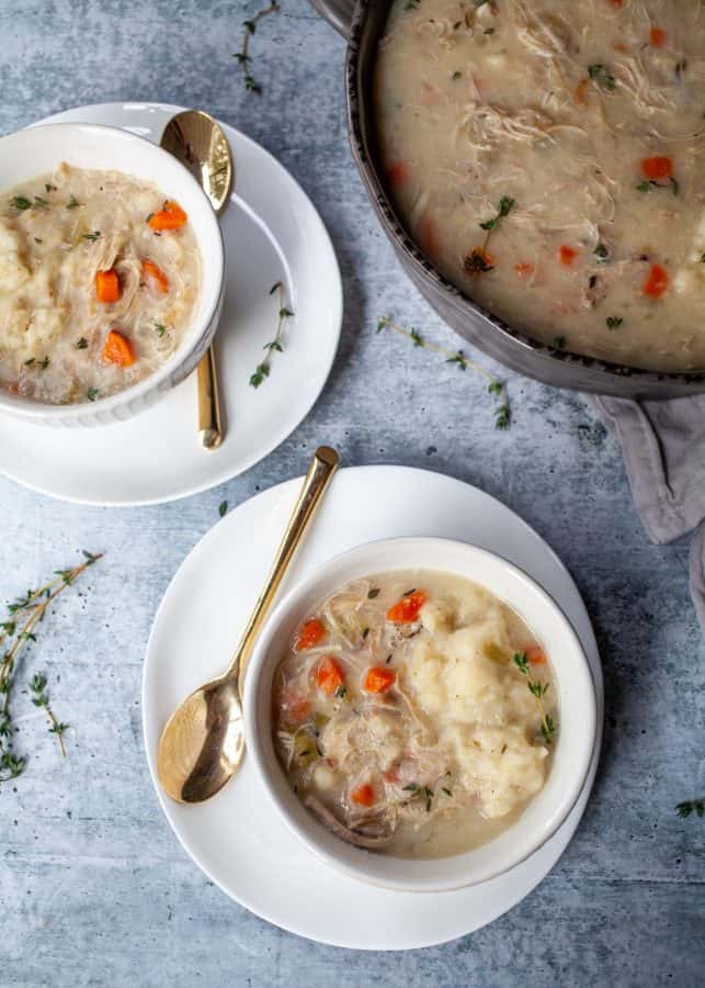 Instant Pot Chicken and Dumplings | The Noshery