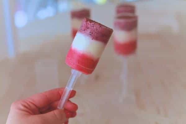 Fruit and Yogurt Push-Pops