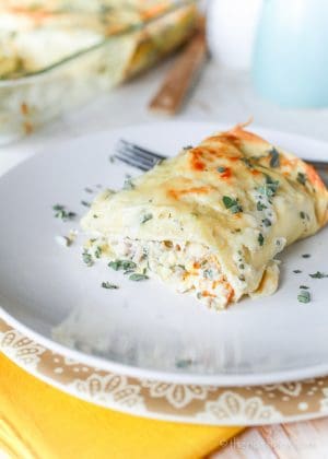 Butternut & Sausage Hash Lasagna Rolls with Creamy Sage Sauce - The Noshery