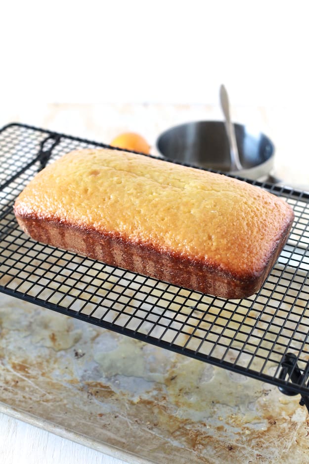 Meyer Lemon Olive Oil Cake | TheNoshery.com - @TheNoshery