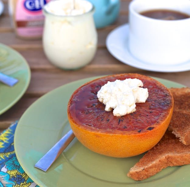 Grapefruit Brûlée with Honey Ginger Cream The Noshery