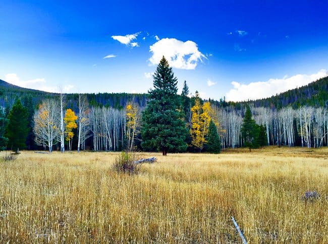 Rocky Mountain National Park - TheNoshery.com