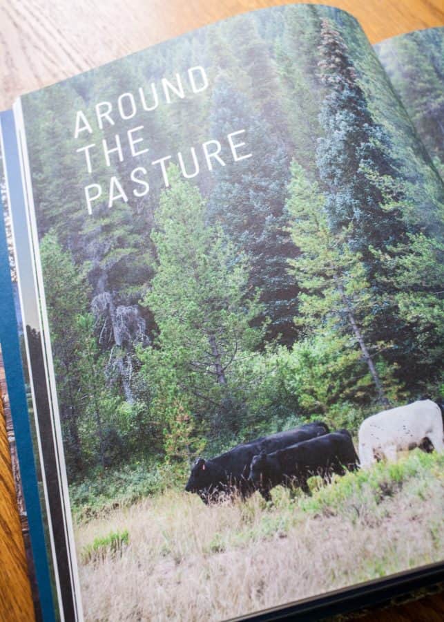 Savor: Rustic Recipes Inspired by Forest, Field, and Farm | TheNoshery.com