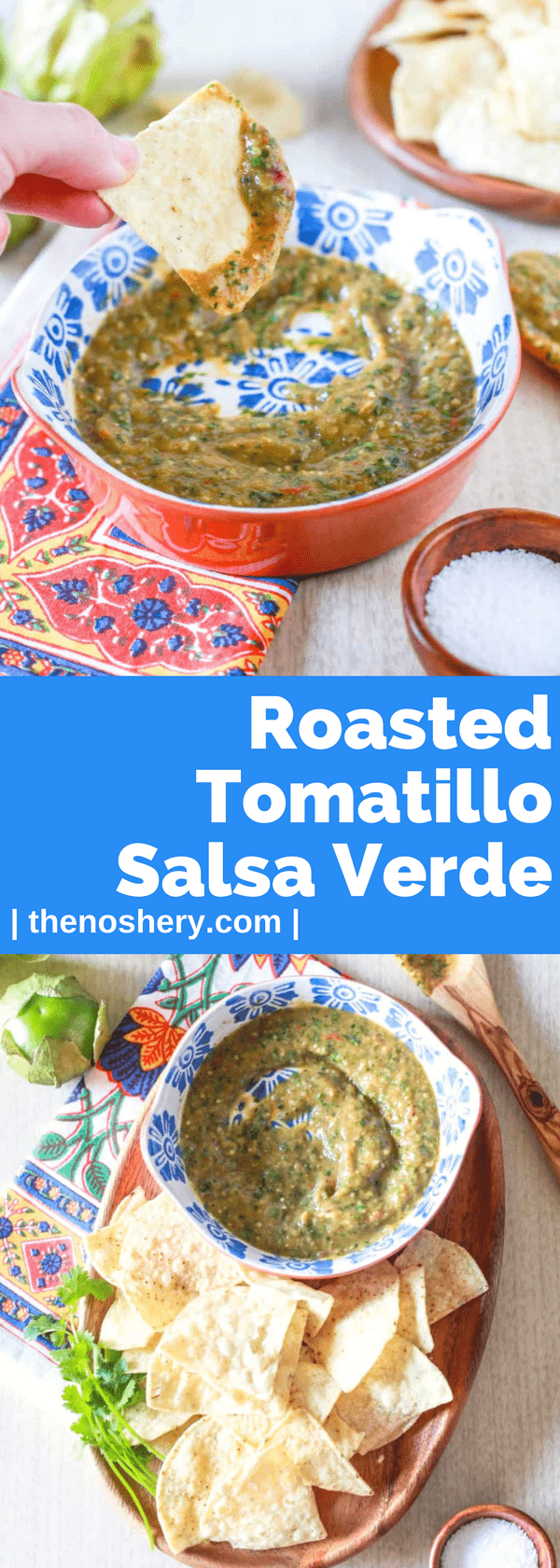Roasted Tomatillo Salsa Verde The Noshery