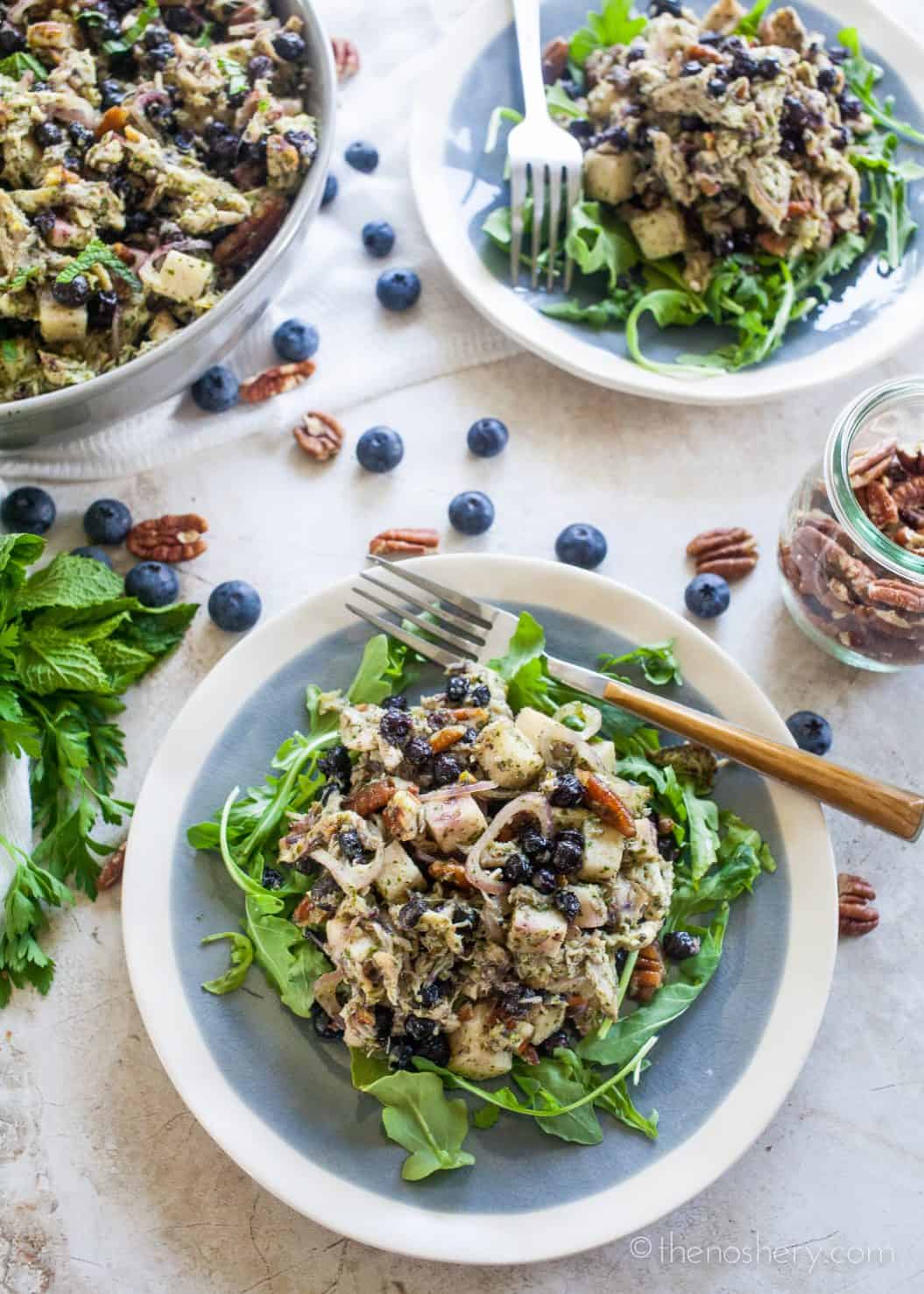 Blueberry And Pecan Chicken Salad With Mint Chimichurri The Noshery