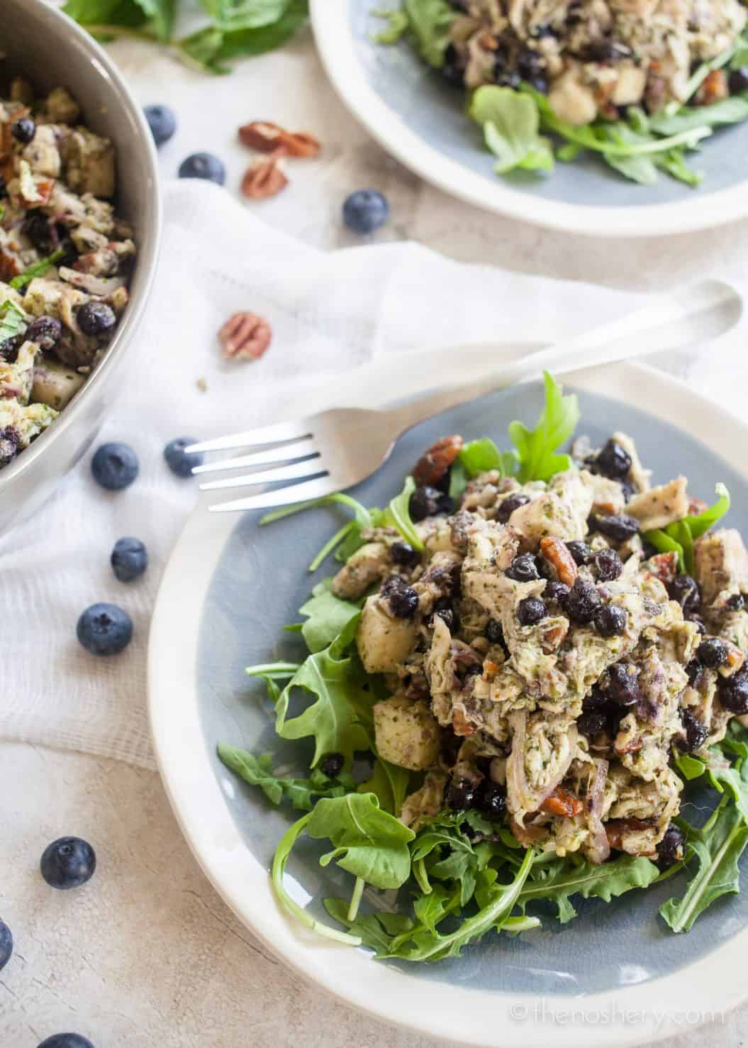 Blueberry And Pecan Chicken Salad With Mint Chimichurri The Noshery