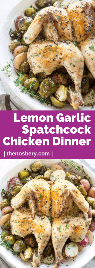 Lemon Garlic Spatchcock Chicken Dinner | Spatchcock chicken makes for the juiciest chicken with the crispiest skin. This recipe is a complete chicken dinner with all the flavor in half the time. | The Noshery Lemon Garlic Spatchcock Chicken Dinner | Platter of whole spatchcock chicken on a bed of roasted Brussels sprouts and potatoes. | The Noshery
