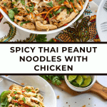 Spicy Thai Peanut Noodles with Chicken