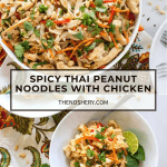 Spicy Thai Peanut Noodles with Chicken
