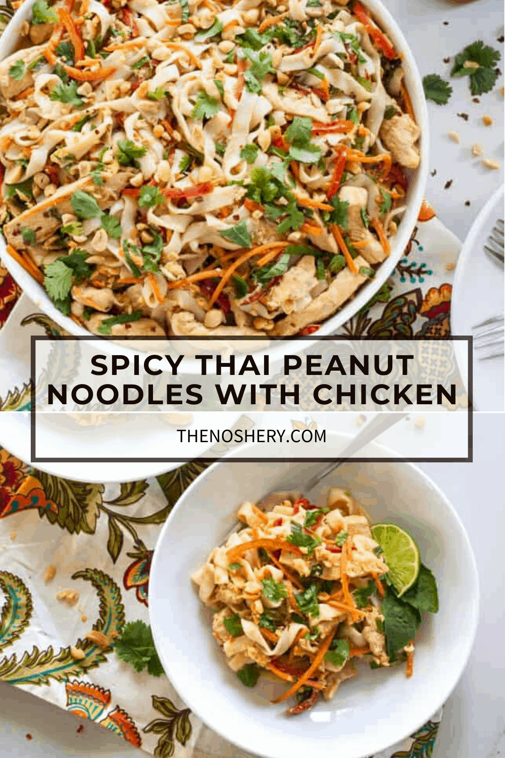 Spicy Thai Peanut Noodles with Chicken - The Noshery