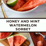 Honey and Mint Watermelon Sorbet Recipe | The Noshery