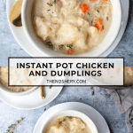 Instant Pot Chicken and Dumplings | The Noshery